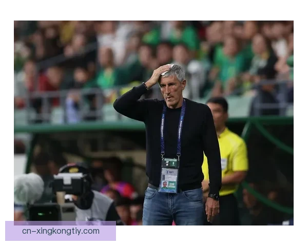 因河内公安亚冠对淡滨尼或判负