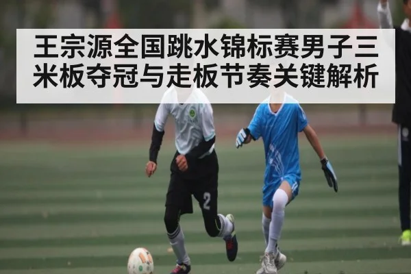 王宗源全国跳水锦标赛男子三米板夺冠与走板节奏关键解析